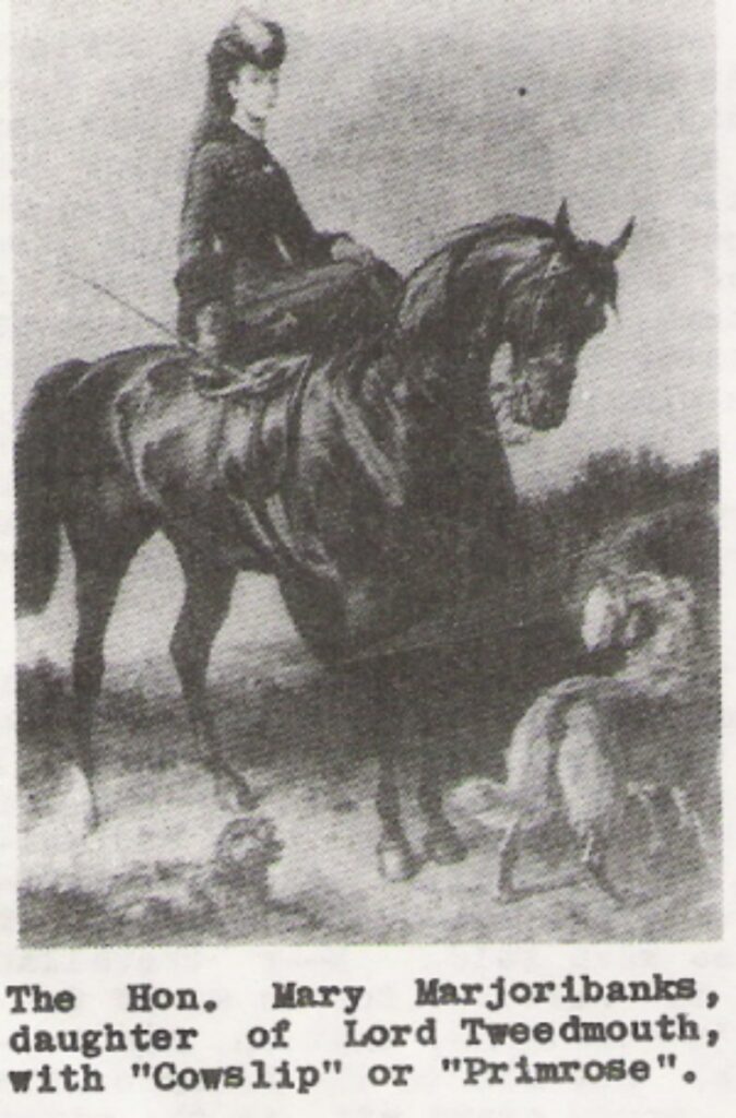 Historie zlatého retrívra 7