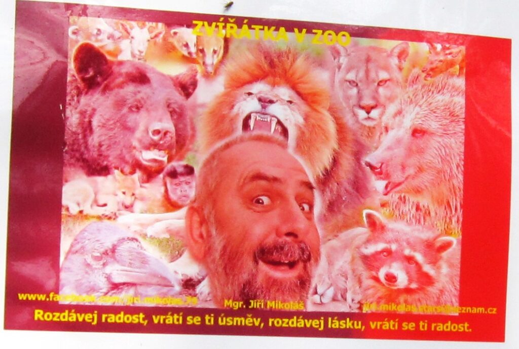 Vyjížďka na kole do ZOO Tábor 8