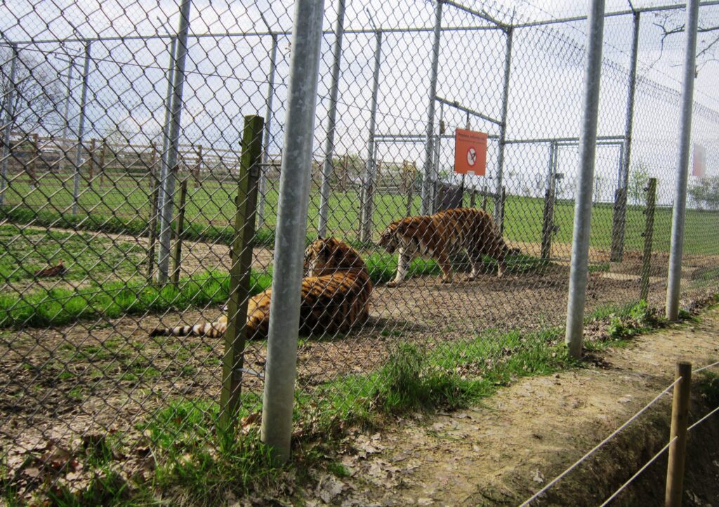 Vyjížďka na kole do ZOO Tábor 6