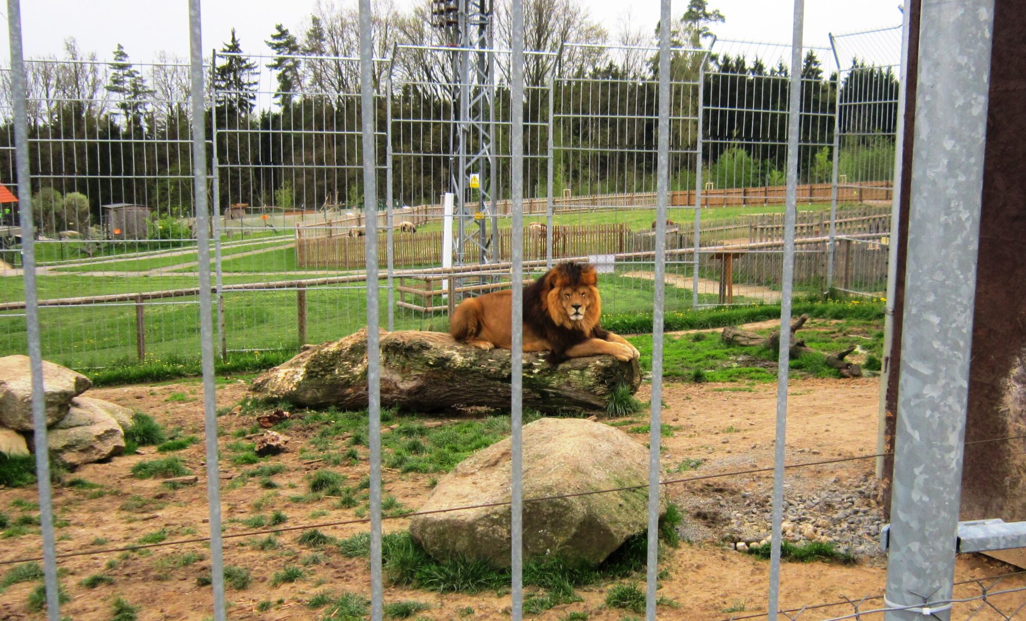 Vyjížďka na kole do ZOO Tábor 5