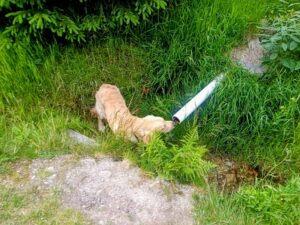 Ke studánce pod Smrkem jsme šli pro vodu.