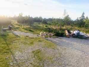 K večeru kolem ještě procházeli dva turisté s pejskem.