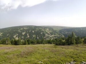 Tady už je arktická tundra.