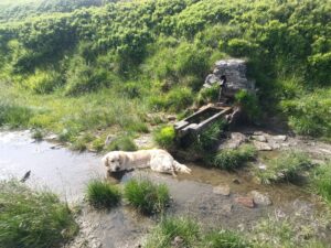 Rennerova studánka přišla Matesovi vhod.