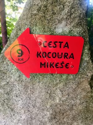 Začínáme na kočičí cestě.