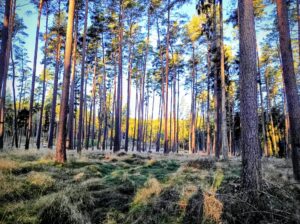 5 dnů jsme viděli vesměs jen tohle na všechny strany.