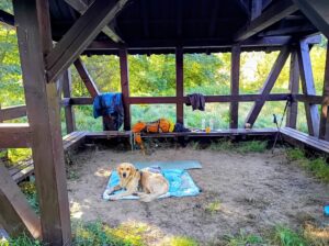 Přístřešek na dostřel od Baltu.