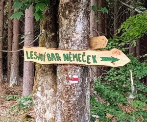 Z České Kubice do Dolního Žandova: 106 km Českým lesem 19