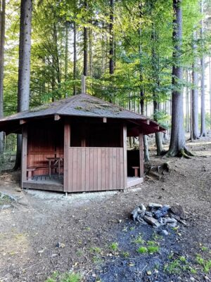 Z České Kubice do Dolního Žandova: 106 km Českým lesem 2