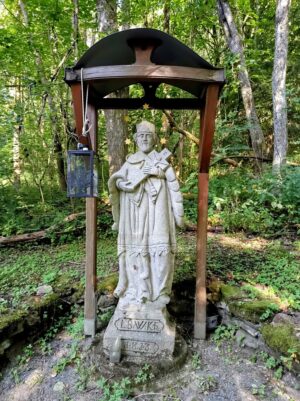 Z České Kubice do Dolního Žandova: 106 km Českým lesem 8