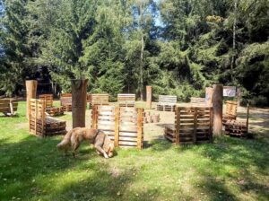 Z České Kubice do Dolního Žandova: 106 km Českým lesem 28
