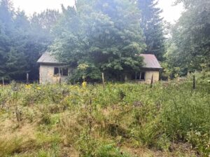 Z České Kubice do Dolního Žandova: 106 km Českým lesem 33