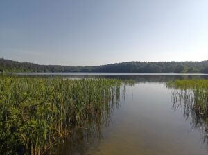 Mokřady a jezera.