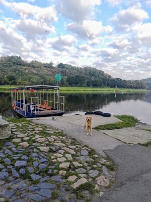 Matesovi by se převoznická práce asi líbila.