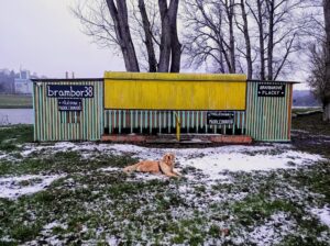 Brambor 38 - hipsterský podnik v Klecanech má už na podzim zavřeno.
