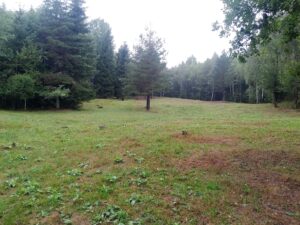 Vimperk – Nová Pec, pěšky přes Šumavu 3
