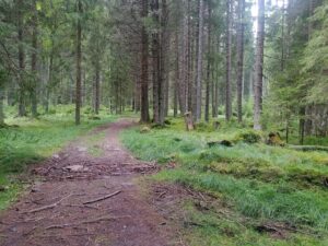 Vimperk – Nová Pec, pěšky přes Šumavu 13