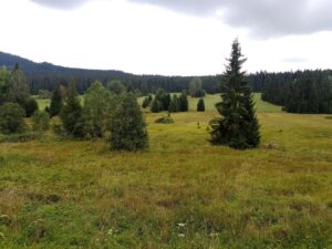 Vimperk – Nová Pec, pěšky přes Šumavu 16