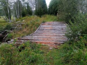 Vimperk – Nová Pec, pěšky přes Šumavu 26