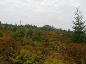 Vimperk – Nová Pec, pěšky přes Šumavu 36
