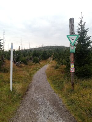 Vimperk – Nová Pec, pěšky přes Šumavu 42