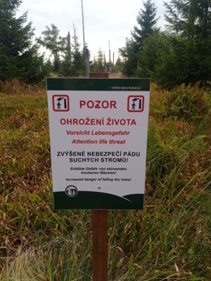 Vimperk – Nová Pec, pěšky přes Šumavu 43
