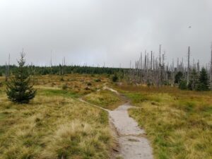 Vimperk – Nová Pec, pěšky přes Šumavu 52