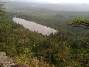 Vimperk – Nová Pec, pěšky přes Šumavu 56