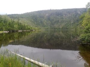 Vimperk – Nová Pec, pěšky přes Šumavu 58