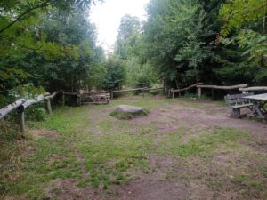 Vimperk – Nová Pec, pěšky přes Šumavu 59