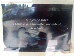 Přechod Šumavy ze Sušice do Černého Kříže 73