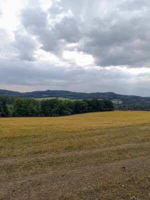 I louky a pastviny jsou dnes prázdné.