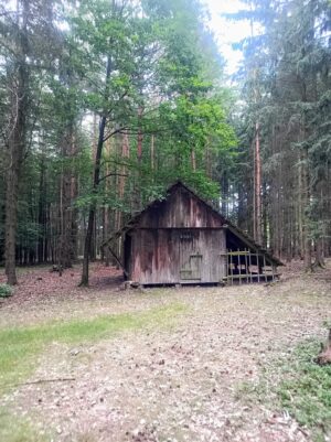 Bouda lesáků a nebo trampský srub?
