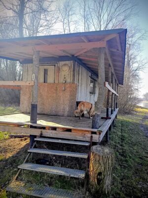 Z Brandýsa nad Labem do Neratovic podél Labe 18