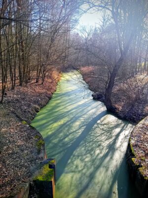 Z Brandýsa nad Labem do Neratovic podél Labe 21