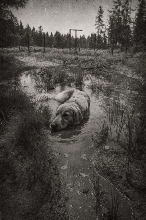Černobílá past: fotografie jako maska vlastní neschopnosti 8