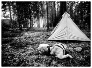 Černobílá past: fotografie jako maska vlastní neschopnosti 9