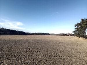 Z Brandýsa nad Labem do Všetat: výlet, který bych neopakoval 11