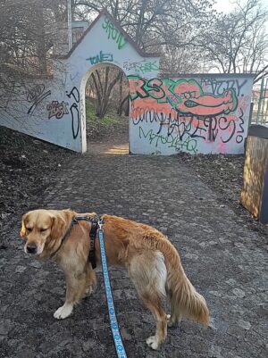 Žalozpěv za Bubenečskou nádražku 9