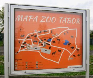 Vyjížďka na kole do ZOO Tábor 25