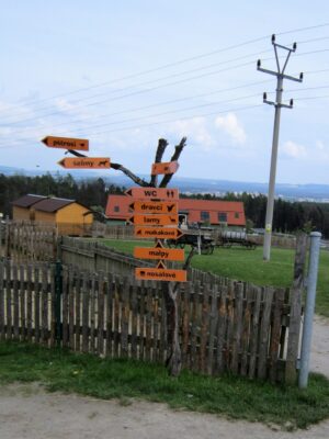 Vyjížďka na kole do ZOO Tábor 26