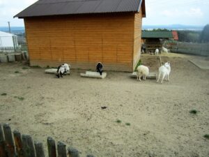 Vyjížďka na kole do ZOO Tábor 27