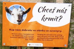 Vyjížďka na kole do ZOO Tábor 28