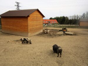 Vyjížďka na kole do ZOO Tábor 29