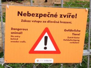 Vyjížďka na kole do ZOO Tábor 32