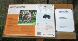 Vyjížďka na kole do ZOO Tábor 35