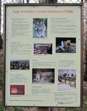 Vyjížďka na kole do ZOO Tábor 40