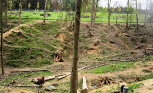 Vyjížďka na kole do ZOO Tábor 41