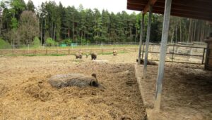 Vyjížďka na kole do ZOO Tábor 44