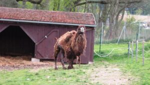 Vyjížďka na kole do ZOO Tábor 48